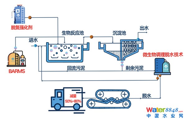 ��ˇ����